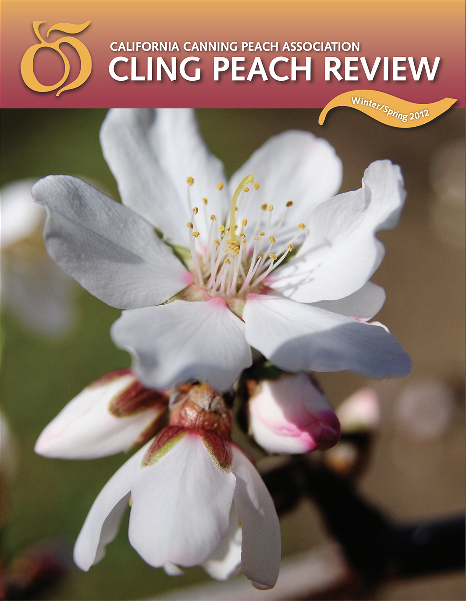 Cling Peach Review 2012