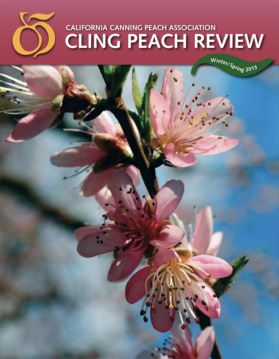 Cling Peach Review 2013