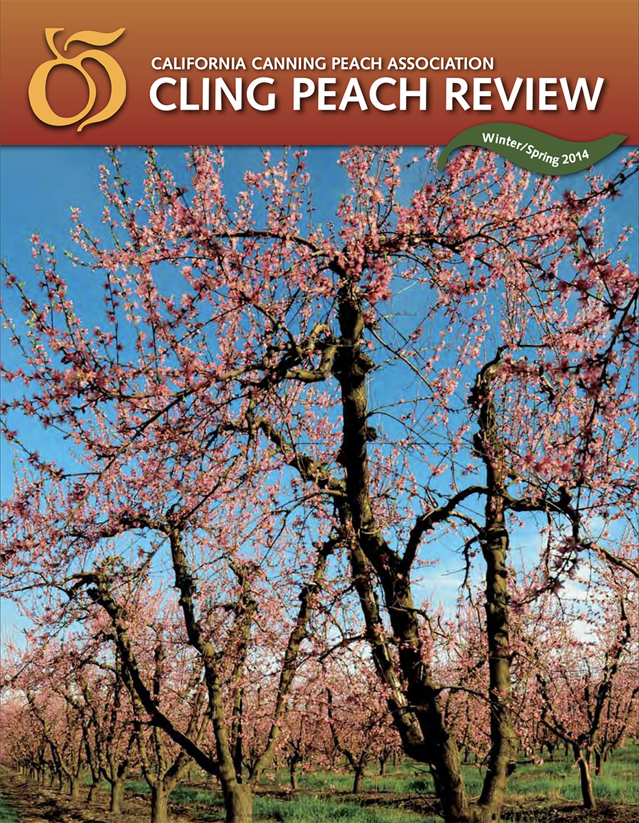 Cling Peach Review 2014