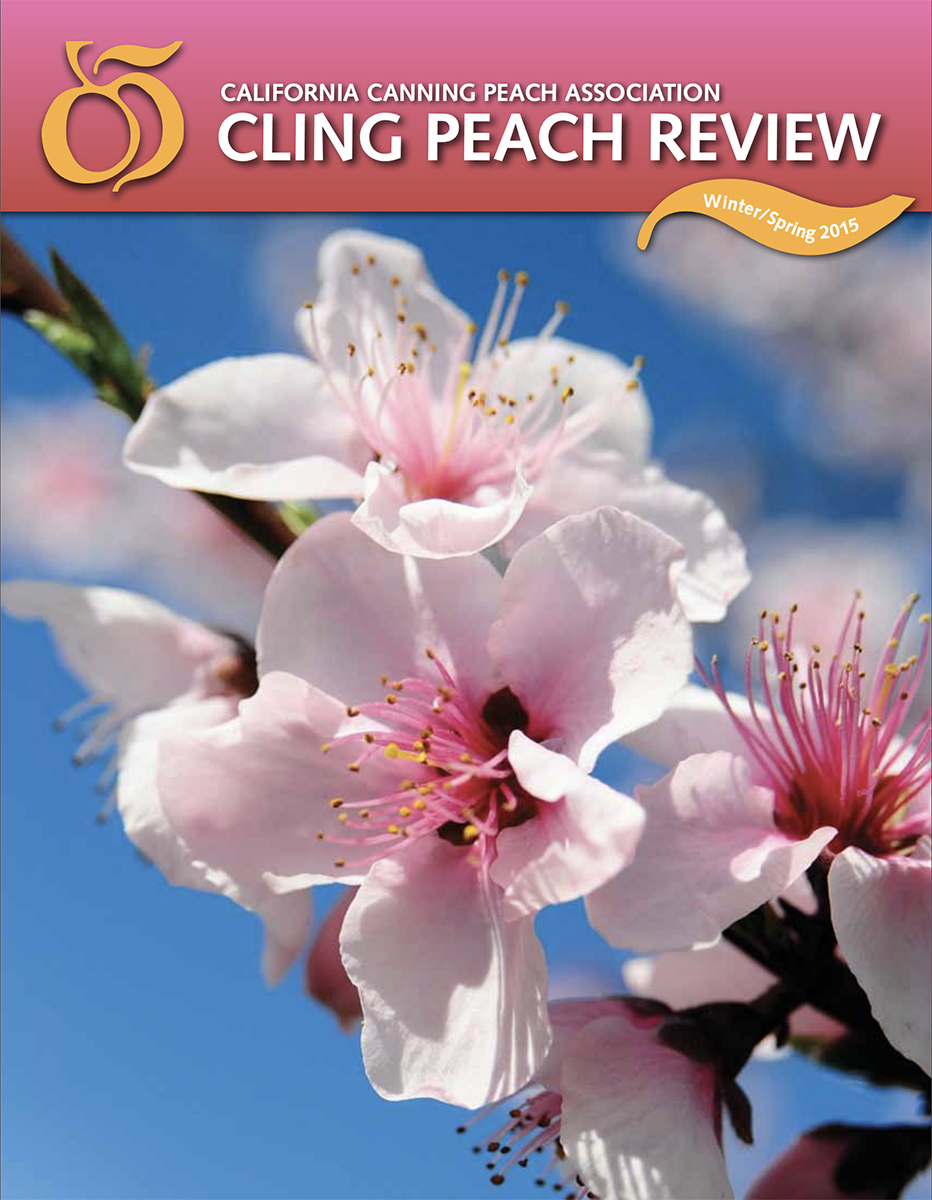 Cling Peach Review 2015