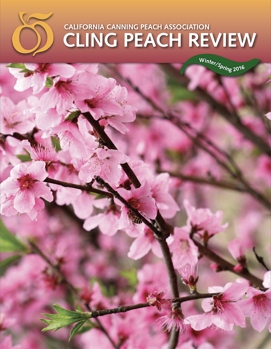 Cling Peach Review 2016