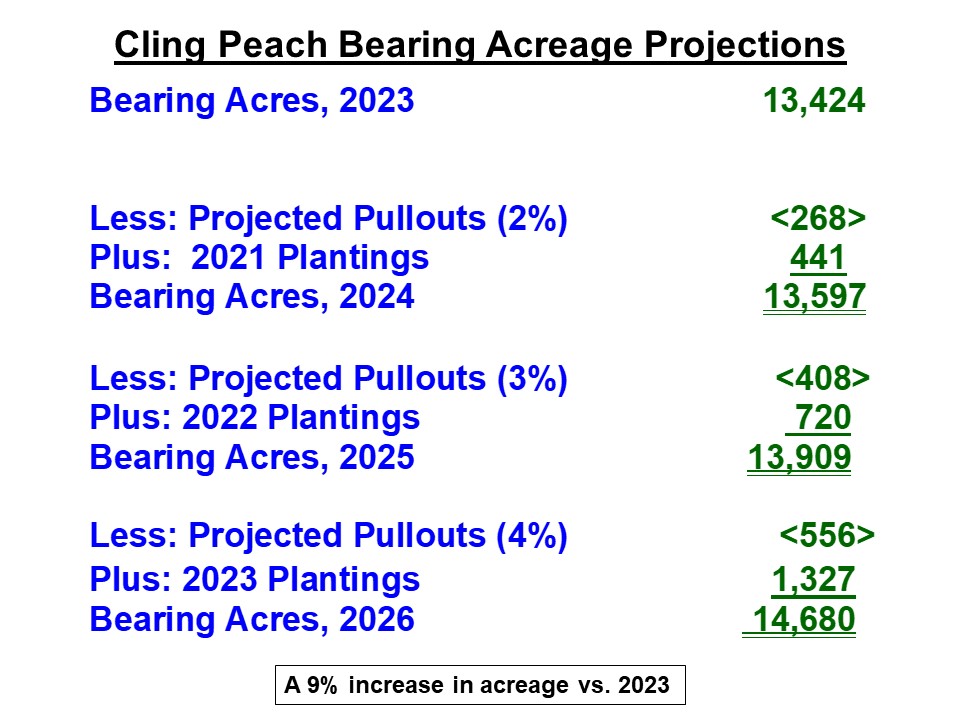 12 Cling Peach Bearing Acreage Projections 2023