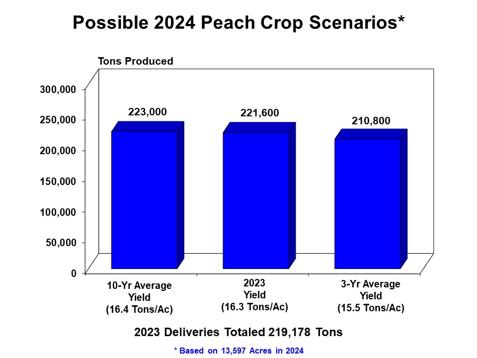 13 Possible 2024 Peach Crop Scenarios