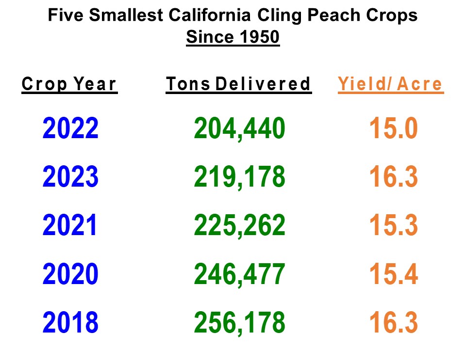 2 Five Smallest California Cling Peach Crops 2023